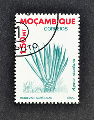 Cancelled postage stamp printed by Mozambique, that shows Agave sisalana, Agricultural wealth of...