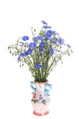 flax flowers isolated