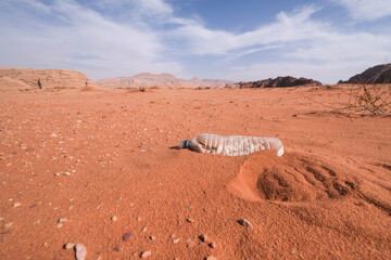 Fototapeta na wymiar Pollution plastique dans le désert du Wadi Rum en Jordanie