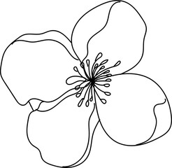 Flower linear illustration. Twig silhouette. Plant coloring element. Floral element isolated