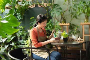 Naklejka na ściany i meble Portrait of smiling Asian young woman Gardener working in houseplant