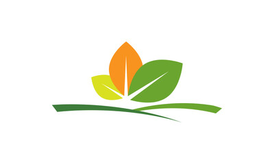 Farm logo design agriculture logo design vector image