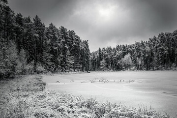 Czarno-biała zima nad jeziorem