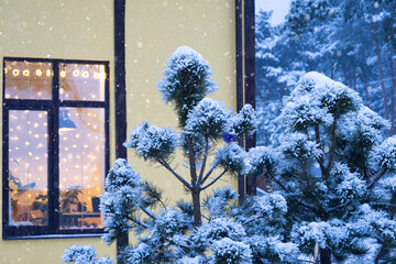 Cozy festive window of the house outside with the warm light of fairy lights garlands inside - celebrate Christmas and New Year in a warm home. Christmas tree, bokeh, snow on pine trees and snowfall