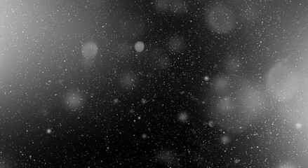 Fototapeta na wymiar Snow flake particles on black background