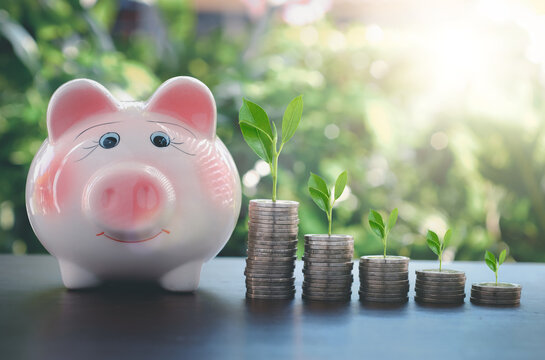 Piggy bank with money and growing plants like profit. Copy space. Money saving ideas on blur background.