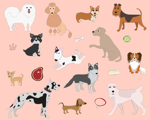 Set of characters, dog breeds and dog accessesories