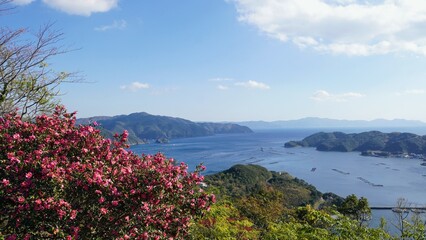 宇和海とサザンカ・紫電改展示館【愛媛県宇和郡愛南町】