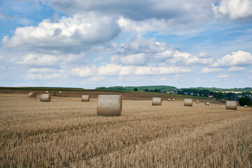 Fototapeta premium Beautiful view of hay bales in a field with dry grass under the cloudy sky
