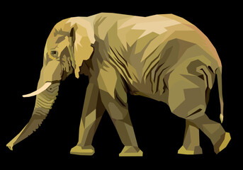 Illustration elephant on pop art style. vector illustration.