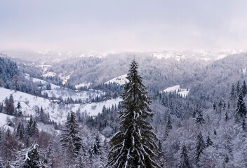 View from the top of the hill of the Ukrainian Carpathians to the settlement with houses covered with snow in winter