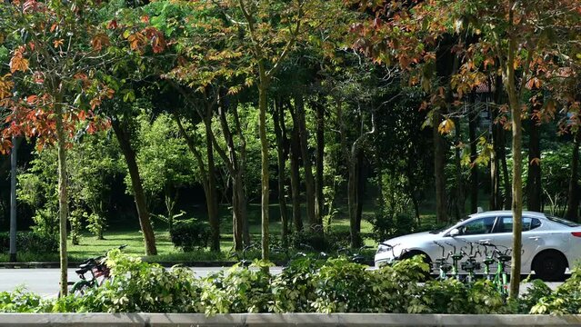 Car Driving Through Country Road At Sunny Day In Singapore 