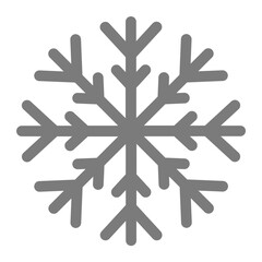 Snowflake Greyscale Glyph Icon