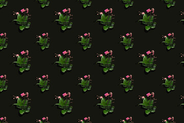 seamless floral print with orchid plants with dark back