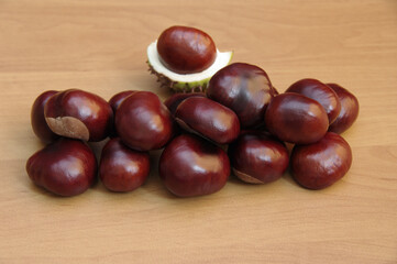 Close-up chestnuts in a blue plate on a white background. Horse chestnut fruit. Selective focus.