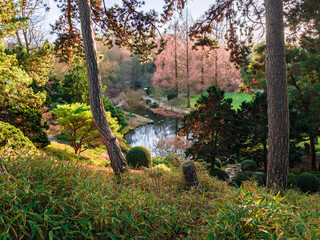 Traditional Japanese Garden,Beautiful calm scene in Fall Season