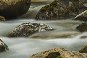 Closeup of flowing river Sjevernica in Montenegro