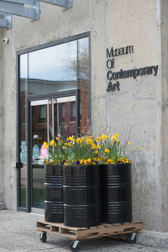 Museum Of Contemporary Art (Toronto, Canada) - Entrance Doors With Decorative Spring Flowers In Metal Drums