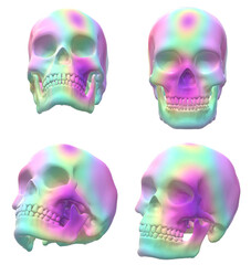 human skull