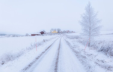 Obraz premium Country road landscape in a frosty and snowy christmas day 