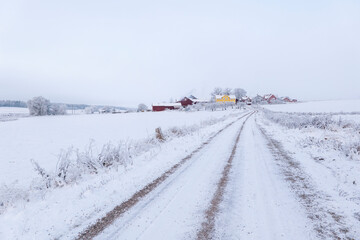 Fototapeta premium Country road landscape in a frosty and snowy christmas day 