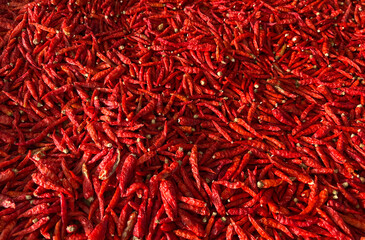 Close up Picture of Red Thai Dry Bird eye Chilli