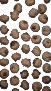 Vertically composed looping animation featuring a cloud of Beetroots falling endlessly on white background.