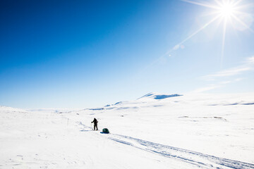 Ski expedition in Dovrefjell National Park, Norway