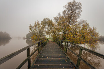 Simple wooden bridge now leads to a hidden destination. It is a foggy morning in the fall season. The leaves of the willow tree have yellowed and some have already fallen on the bridge.