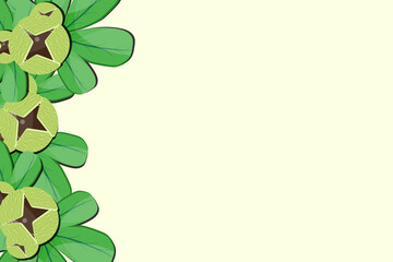 Cracked chestnut with beautiful green leaves and copy space. Website banner. 