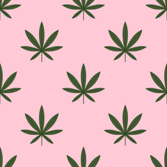 Dark green cannabis leaves on pink background. - 556306210