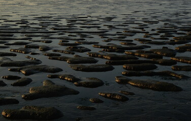 low tide in the wadden sea,ebbe im wattenmeer