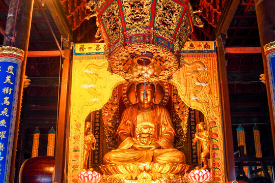 ZHEJIANG,CHINA 8 february 2020 - Golden buddha statue in Fayu Temple. Mount Putuo is an island in Zhoushan city