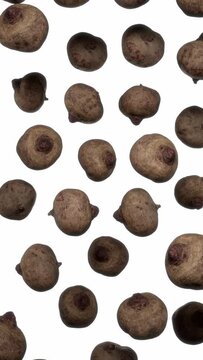 Vertically composed looping animation featuring a cloud of Beetroots floating in place on white background.