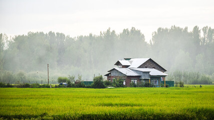 landscape with house