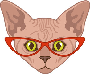 Sphynx cat head. Funny character in red glasses, domestic animal portrait, cute smart pet illustration, trendy adorable kitten sticker or design meow element, vector cartoon flat art