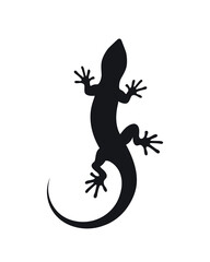 silhouette of a lizard - obrazy, fototapety, plakaty