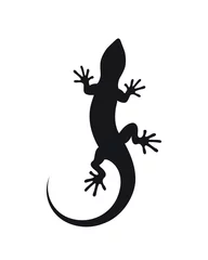 Foto op Canvas silhouette of a lizard © lina30
