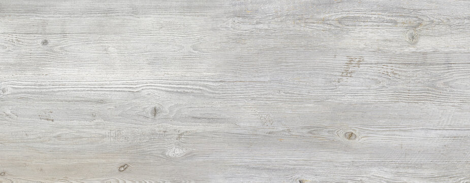 Grey wood seamless texture used for ceramic wall and floor tiles