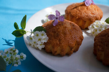 Delicious cupcake flower on color background
