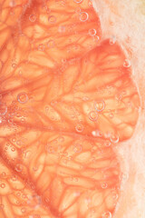 Fototapeta premium Grapefruit slice with gas bubbles in water