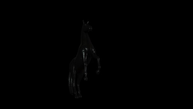 Black Horse Transparent Alpha Animation