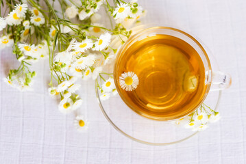cup of herbal tea with chamomile flowers	