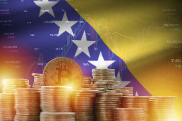 Bosnia and Herzegovina flag and big amount of golden bitcoin coins and trading platform chart....