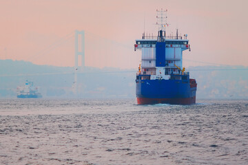 cargo ship in the harbor