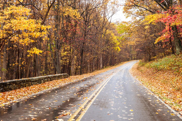 Autumn foliage in Shenandoah National Park, Virginia - United States