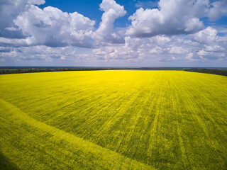 Obraz premium View of the fields and roads from the height of a flying drone.