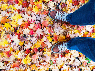 Legs in brown sneakers and blue jeans on autumn wedge leaves. The concept of comfortable clothes and autumn walks.