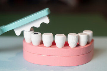 brosse a dent et dentier en bois métier de dentiste jeu pour enfant - obrazy, fototapety, plakaty