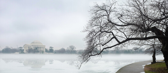 Washington DC in the winter- Jefferson Memorial and  cherry trees at tidal basin in a foggy day -...